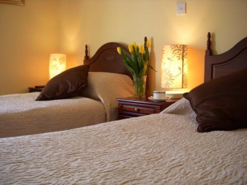 Dun Ri Guesthouse Кліфден Номер фото